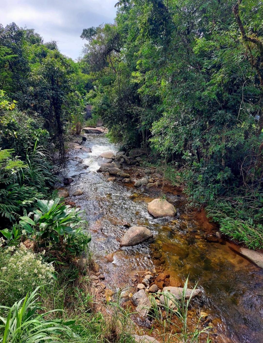 Pousada Sitio Monte Sinai São José do Barreiro Esterno foto